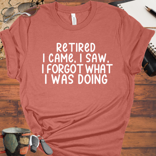 I Came, I Saw I Forgot What I Was Doing